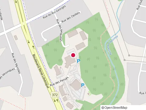 Location of Centre d’Hébergement des Pensées at 3240 Rue des Pensées, Jonquière