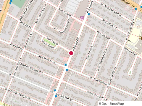 Emplacement de Centre Dentaire Martin Dutil au 1645 Rue Fleury E, Montréal