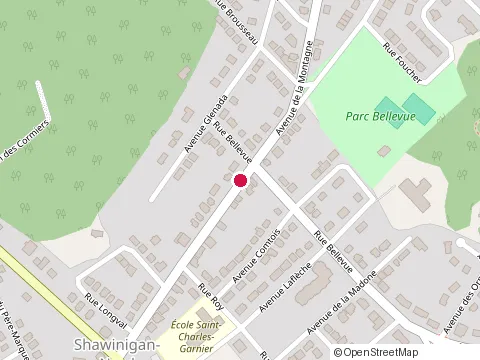 Location of Centre Multi-Svc Auto Enr at 2314 avenue de la Montagne, Shawinigan