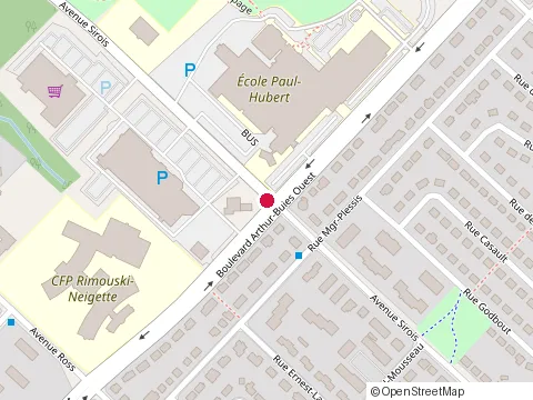 Location of Centre Professionnel d'Assurances du Bas St- Laurent Inc at 251 Boulevard Arthur-Buies Ouest, Rimouski