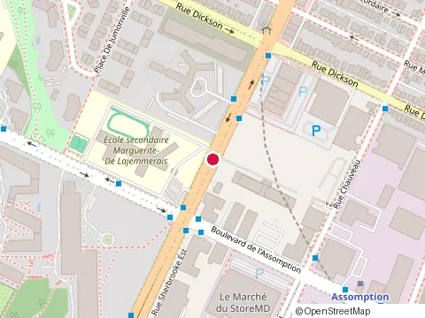 Location of Chsld Benjamin-Victor-Rousselot at 5655 Rue Sherbrooke Est, Montréal