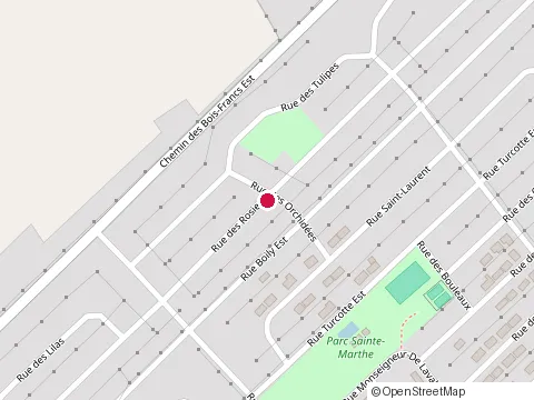 Location of Clinique d'Acupuncture at 373 Rue des Rosiers, Thetford Mines