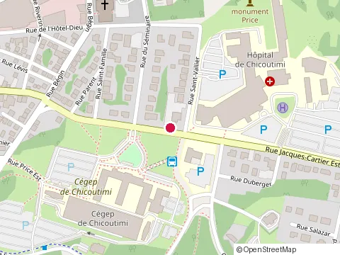 Location of Clinique d'Acupuncture d Joubert at 551 Rue Jacques-Cartier E, Chicoutimi