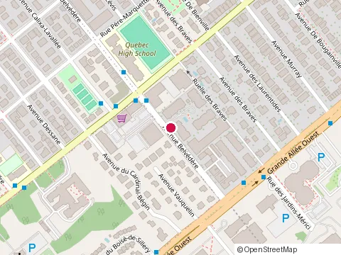 Location of Clinique d'Acupuncture Lucie Mainville at 1105 avenue Belvédère Bureau 100, Québec