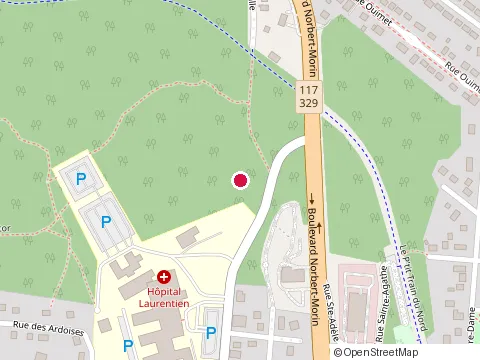 Location of Clinique de Denturologie at 233 Rue St-Vincent, Sainte-Agathe-des-Monts