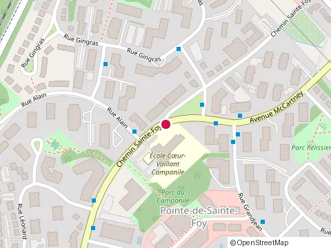 Location of Clinique de Soins de Pieds at 3634 chemin Sainte-Foy, Québec