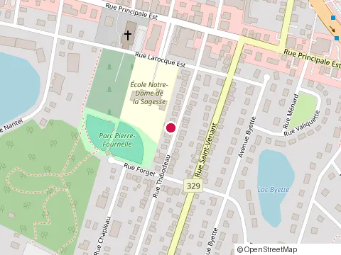Location of Clinique Dentaire Sainte-Agathe-des-Monts at 41 Rue Larocque E, Sainte-Agathe-des-Monts