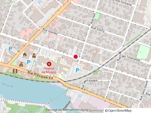 Location of Clinique Dr. Benoît Grenier at 84 Rue Saint-Patrice E, Magog