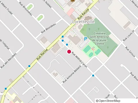 Location of Constructions Noel Martel Inc at 10985 Rue Caron, Québec