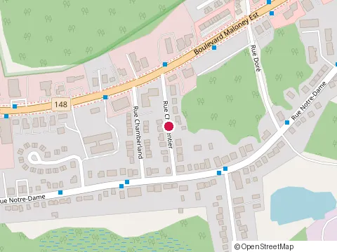 Location of Daniel Beaudoin at 907 avenue Lépine, Gatineau