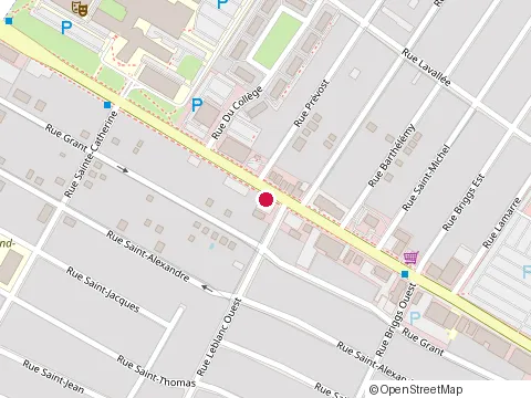 Location of Déneigement Excavation Gaudet Inc at 1012 chemin de Chambly, Longueuil