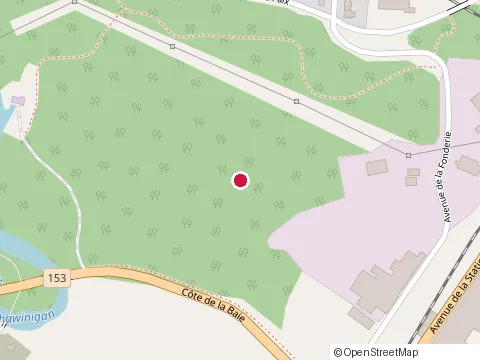 Location of Desaulniers Armature Inc at 1262 Rue Dupont, Shawinigan