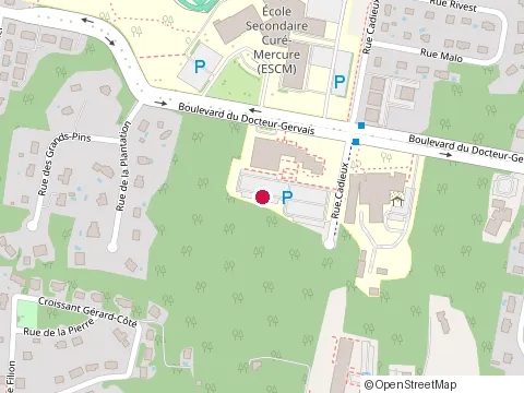 Location of Développement Rêvnor at 165 chemin des Futaies, Mont-Tremblant