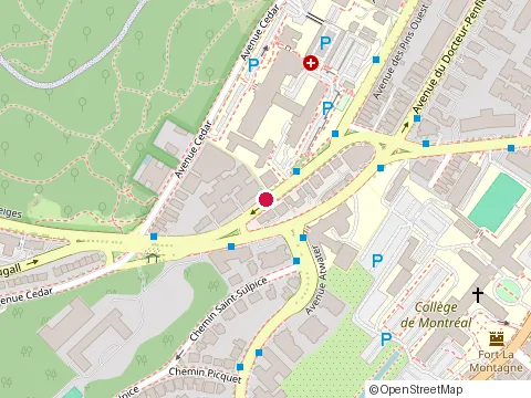 Location of Downtown Montreal Daycare at 3777 Chemin de la Côte-des-Neiges, Montréal
