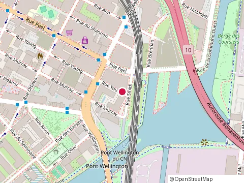 Location of Dynamex Entrepot at 115 Rue Young, Montréal