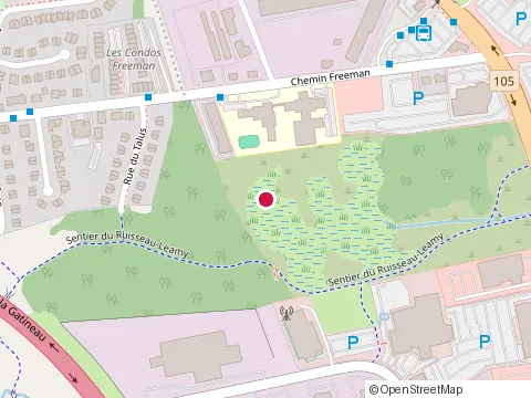 Location of École du Dôme at 40 Rue du Dôme, Gatineau