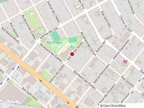 Location of École Frédéric-Tétreau et Immaculée-Conception at 59 Avenue des Saules, Drummondville