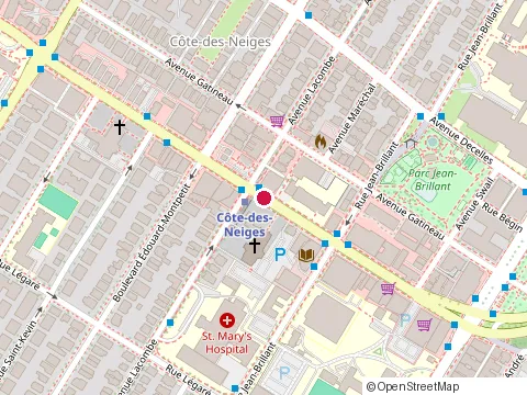 Location of École Notre-Dame-des-Neiges at 5309 chemin de la Cote-des-Neiges, Montréal