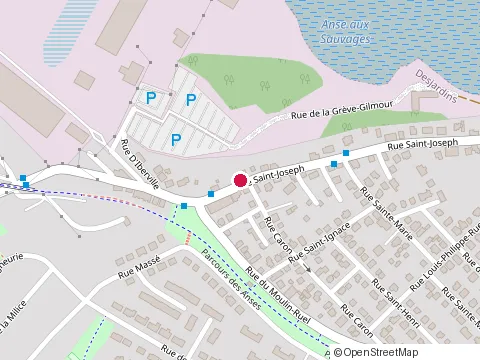 Location of École Saint-Joseph at 295 Rue Saint-Joseph, Levis