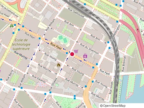 Location of Edyfic Construction at 195 Rue Peel, Montréal