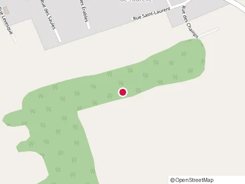 Location of Ejlf Entrepreneur Électricien at 65 Rue du Ruisseau, Sainte-Anne-des-Monts