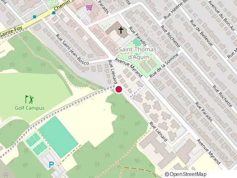 Location of Elagage Gilbert at 879 Rue Liénard, Québec