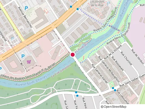 Location of Embellimur Inc at 219  avenue du Pont-Scott, Québec