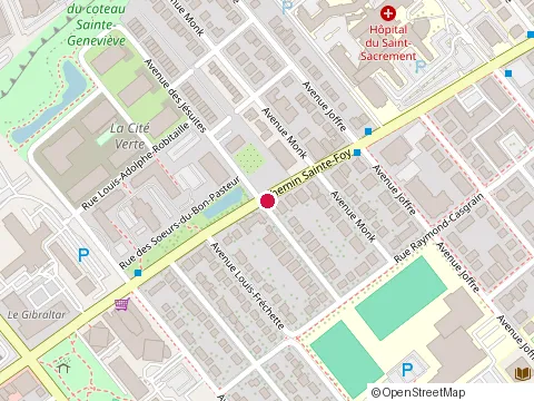 Location of Entreprises Ln Enr at 1131 chemin Sainte-Foy, Québec