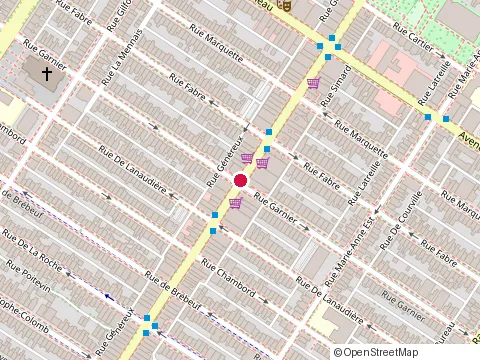 Location of Espace Urbain Esthetique at 1387 avenue du Mont-Royal E, Montréal