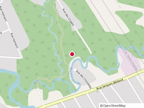 Location of Excavation Jacques Roy Inc at 1399 Rue Krieghoff, Québec