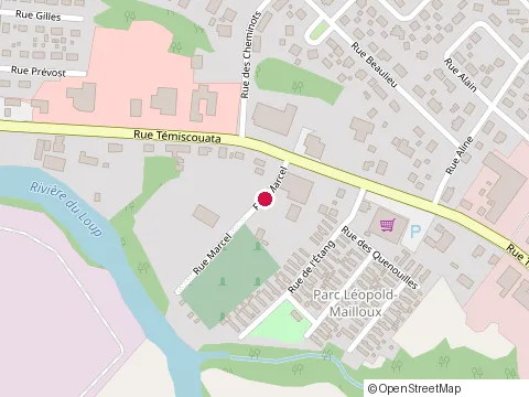 Location of Excavations Bourgoin & Dickner Inc at 12 Rue Marcel, Rivière-du-Loup