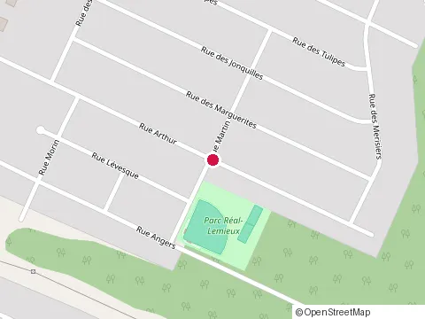 Location of Expert Réno Sinistre Inc at 1131 d Chem. des Patriotes, Sorel-Tracy