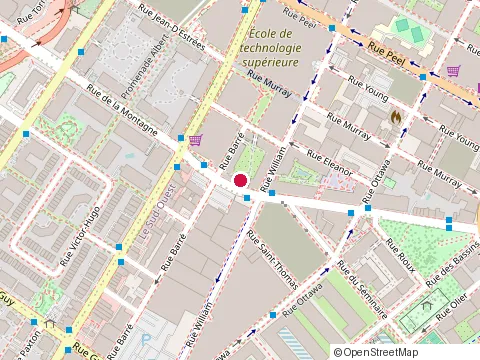 Location of Exsum Immobilier Inc at 399, Rue de la Montagne, Montréal