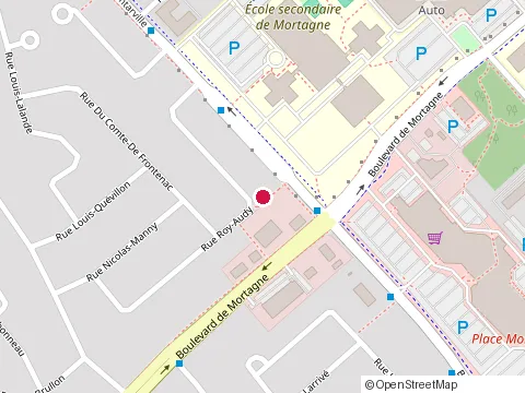 Location of Extermination Bestia - Exterminateur Boucherville at 311 Rue Roy-Audy, Boucherville