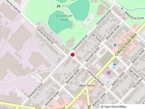 Location of Allumination Siding & Windows at 101 Catharine Ave, Brantford