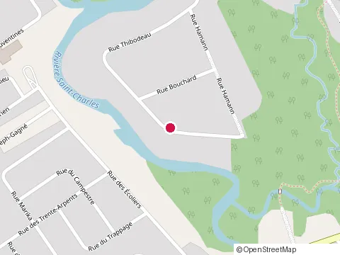 Location of Fleury Gestion Construction at 1323 Rue Thibodeau, Québec