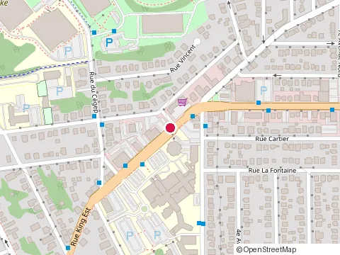 Location of Folle Theiere (S.E.N.C) at 304 Rue King O, Sherbrooke