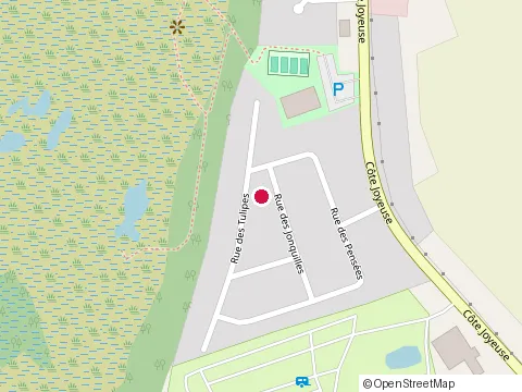 Location of Fondations Portneuf Plus Emalex Inc at 160 Rue des Tulipes, Saint-Raymond