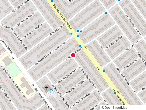 Location of Garderie le Royaume d'Élizabeth at 11659 avenue des Violettes, Montréal-Nord