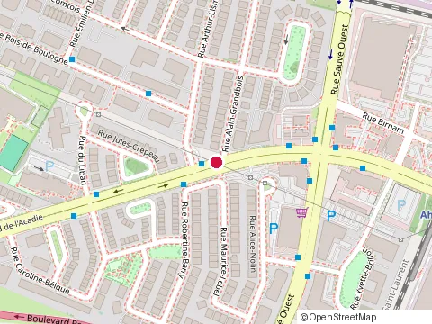 Location of Garderie Semences d'Amour at 1159 Rue Alain-Grandbois, Montréal