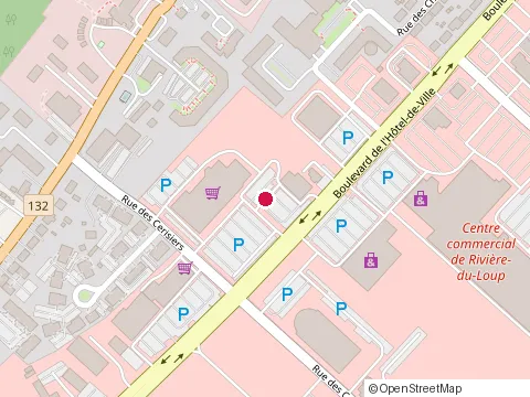 Location of Gerard Lapointe Enr at 100 Rue de l'Hotel-de-Ville # A, Rivière-du-Loup
