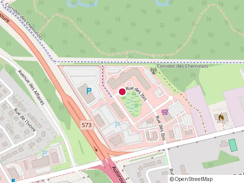 Location of Gestion l M Ross Inc at 1432-960 Rue des Ibis, Québec