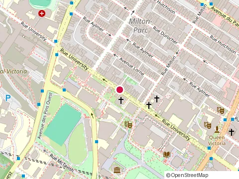 Location of Halal Food at 3520 Rue University, Montréal