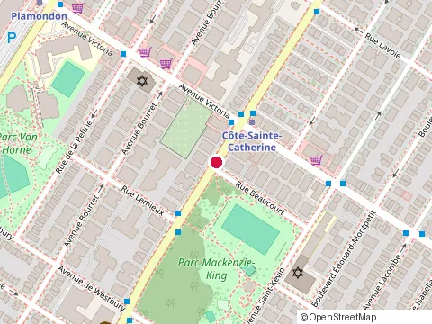 Location of Ielts Clinic at 4895 Chemin de la Côte-Sainte-Catherine, Montréal
