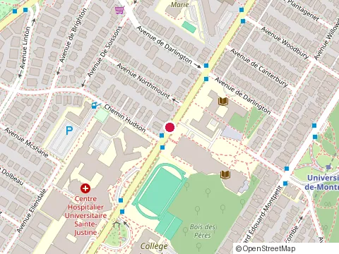 Location of Ingeniousbay at 2977 Chemin de la Côte-Sainte-Catherine, Montréal