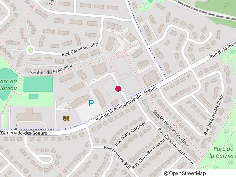 Location of Institut Nancy Fortier Esthtq at 1470 Rue Esther-Blondin, Québec