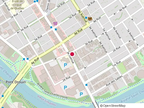 Location of Jean Fina Service at 290 3E Av, Québec