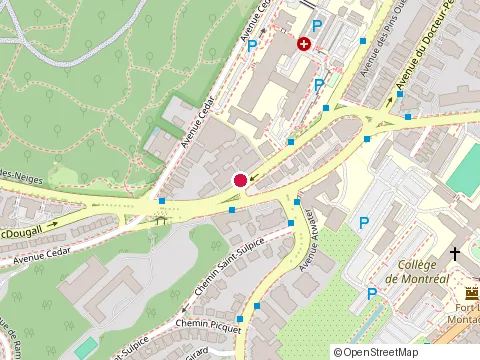 Location of Jean Stephane Rousseau at 3768 chemin de la Cote-des-Neiges, Montréal