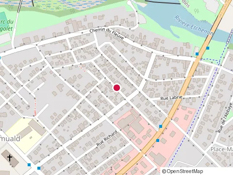 Location of l'Effeuilleuse Anik St-Jean at 139 Rue de la Grande-Hermine, Levis