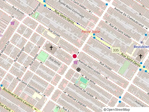 Location of la Petite-Patrie Elementary School at 6841 avenue Henri-Julien, Montréal